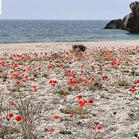 The Poppies Guest House - 100M Ocean - Private Spaces Candelaria Exteriör bild