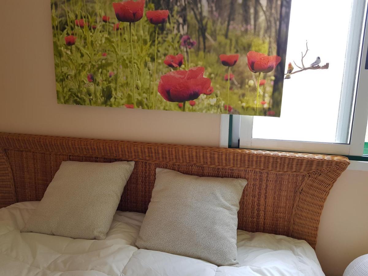 The Poppies Guest House - 100M Ocean - Private Spaces Candelaria Exteriör bild