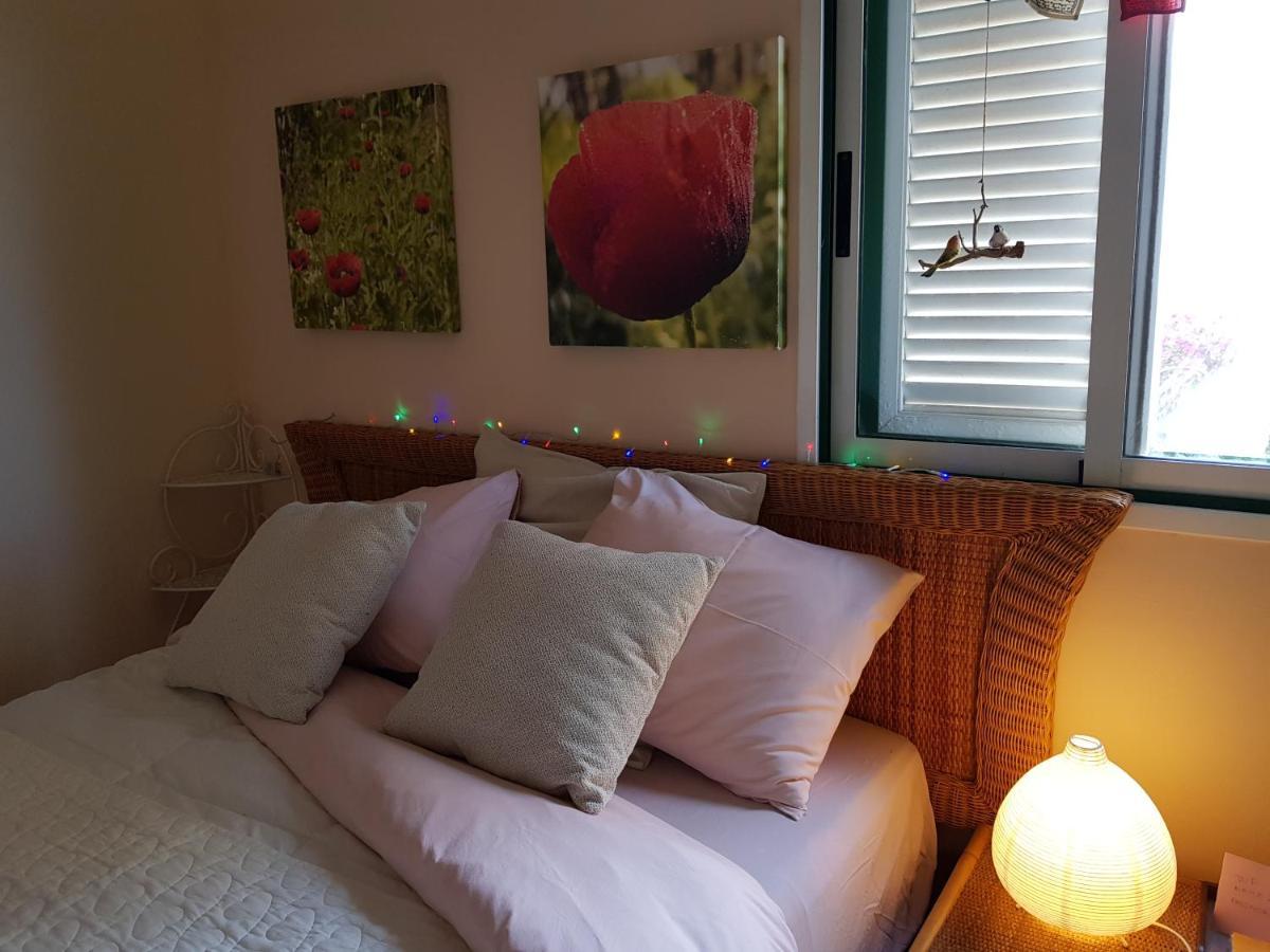 The Poppies Guest House - 100M Ocean - Private Spaces Candelaria Exteriör bild