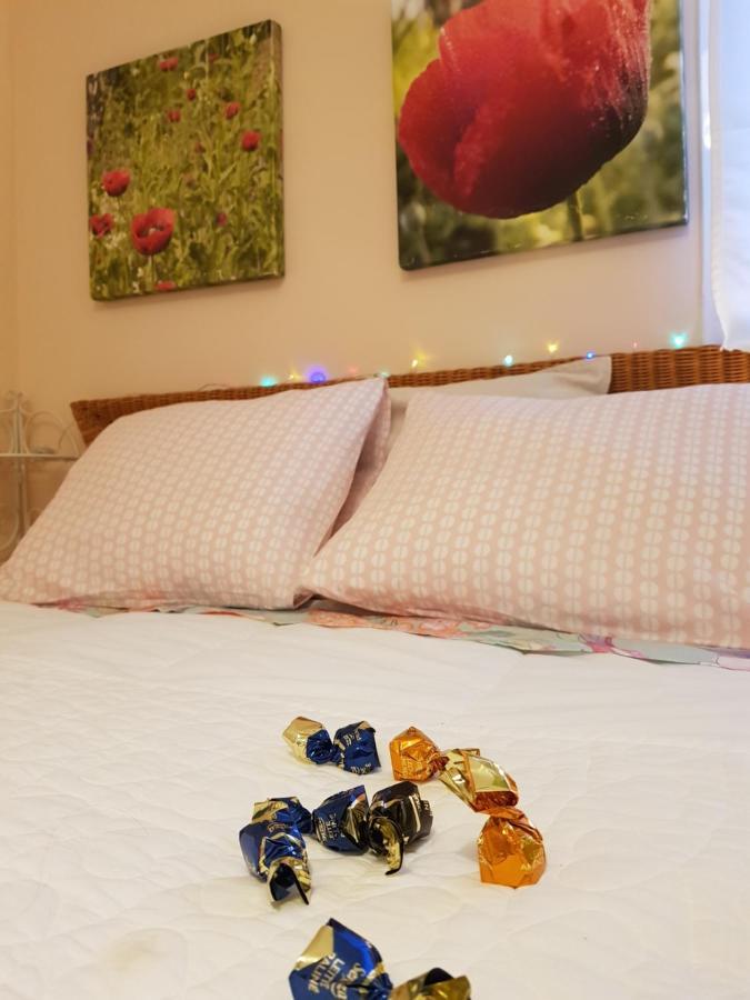 The Poppies Guest House - 100M Ocean - Private Spaces Candelaria Exteriör bild