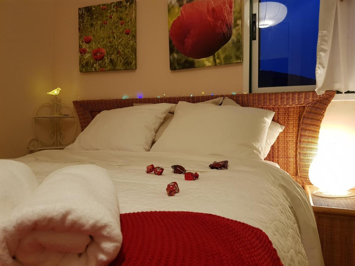 The Poppies Guest House - 100M Ocean - Private Spaces Candelaria Exteriör bild