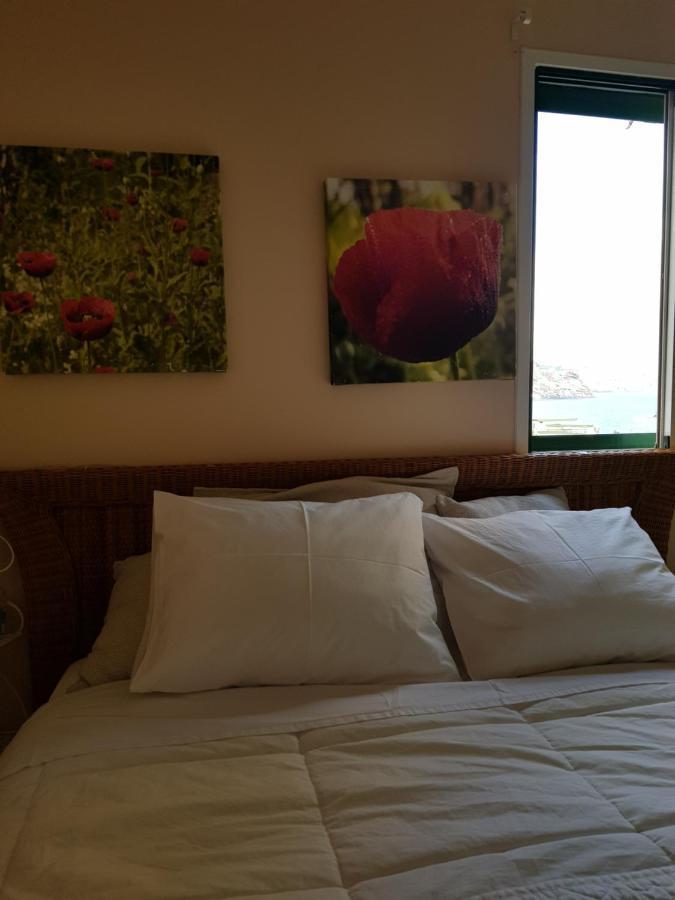 The Poppies Guest House - 100M Ocean - Private Spaces Candelaria Exteriör bild