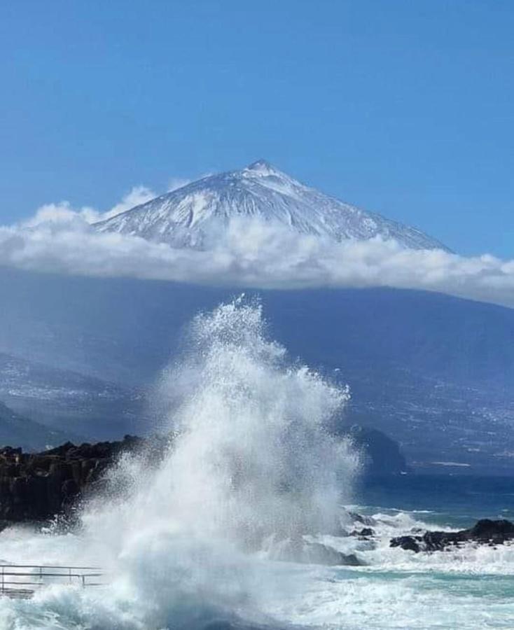The Poppies Guest House - 100M Ocean - Private Spaces Candelaria Exteriör bild