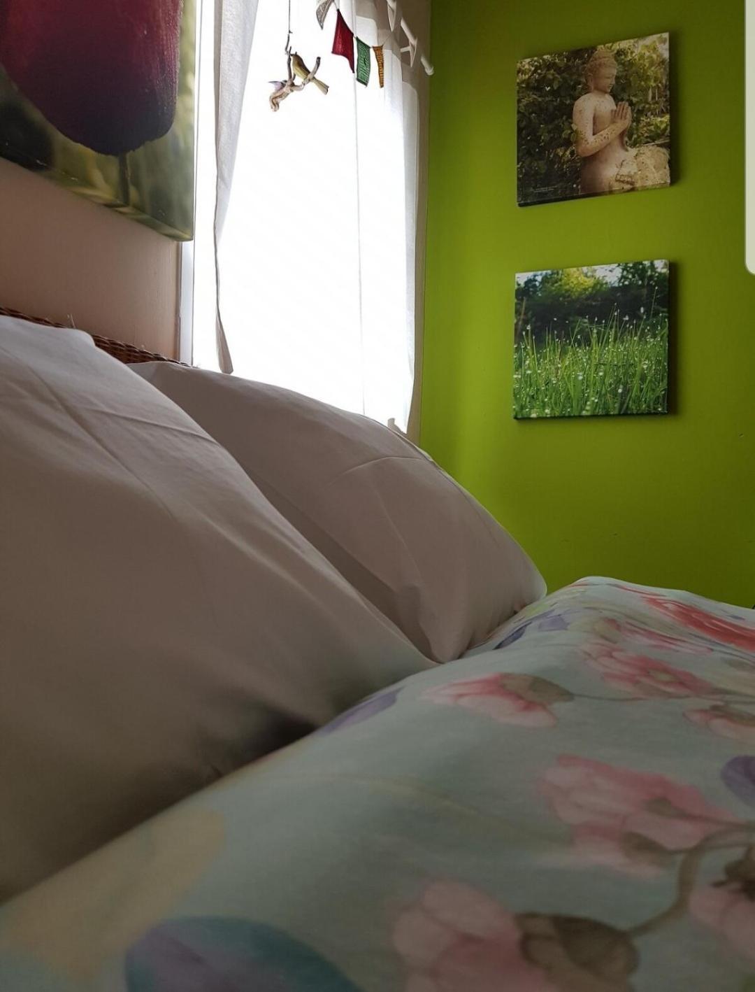 The Poppies Guest House - 100M Ocean - Private Spaces Candelaria Exteriör bild